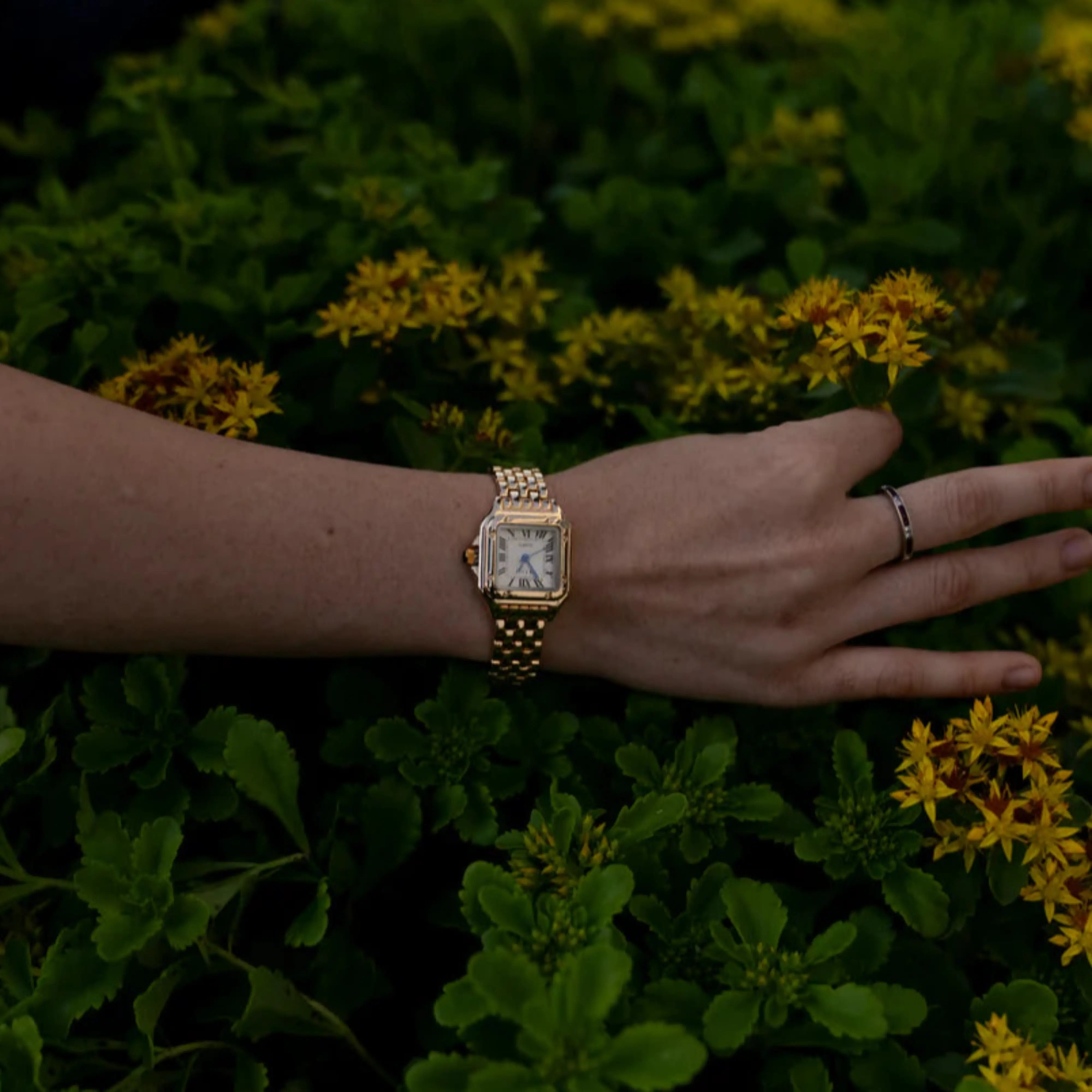 Harry Melbourne® Calista